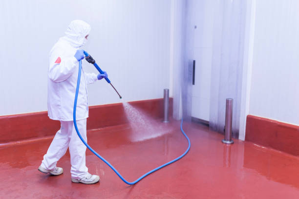 Best Soft Washing  in Elliston, VA